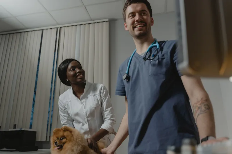 From Stranger to Champion: Building State Legislative Relationships That Actually Move the Needle for Veterinary Medicine