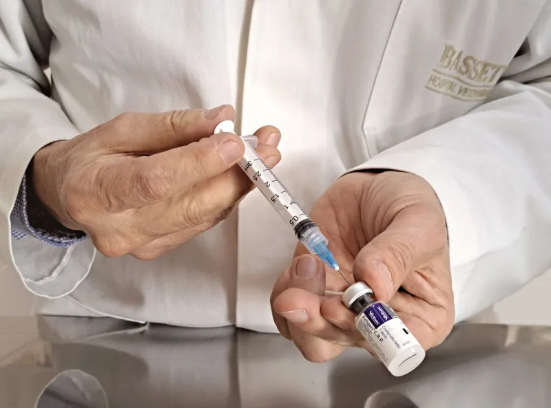 When Doubt Becomes Danger: The Veterinary Profession's Role in Defending Animal Immunization Against a Misinformation Epidemic