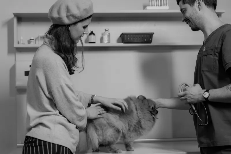 Who Gets to Practice? The Unauthorized Encroachment on Veterinary Clinical Authority and the Profession's Strategic Response